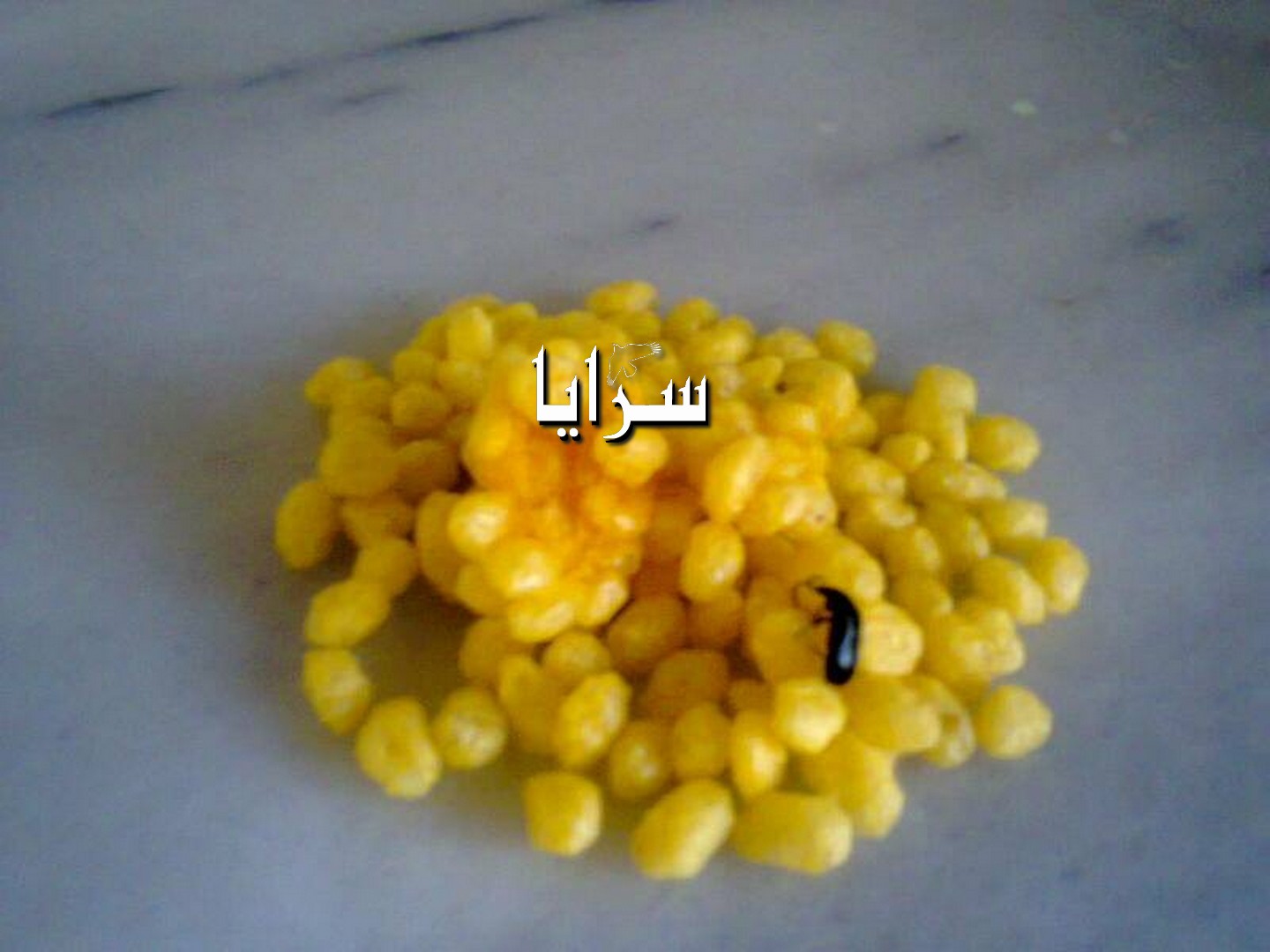 image.php