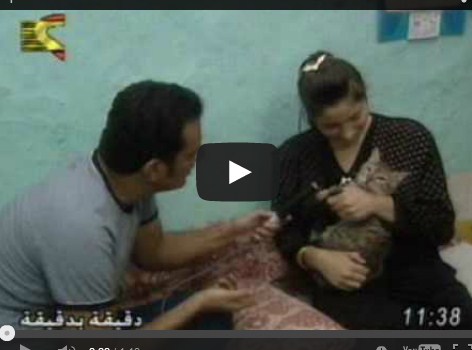 بالفيديو .. قط يتحدث مثل البشر .. وعلماء الازهر يحلون قتله لأنه يثير الفتنة 