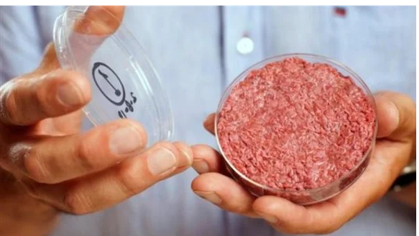 لحم مفروم وسجق مجهول المصدر  ..  3 طرق للتعرف على اللحم الفاسد