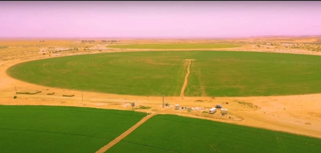  استثمارات "الضمان للصناعات الزراعية" تتوسع في الجنوب وتدعم الأمن الغذائي الوطني 