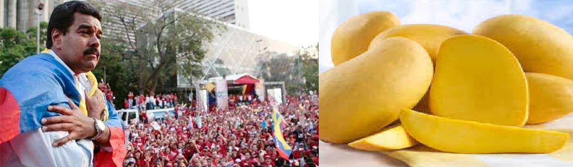 فنزويلا : ضربت الرئيس بحبة" مانجا"  امام الحشود فقام بمنحها شقة  