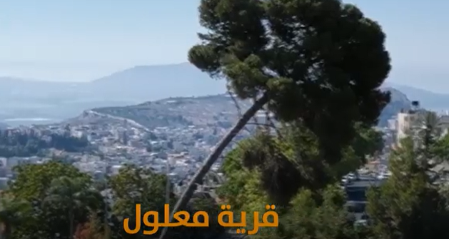 بالفيديو ..  تعرفوا على قرية معلول المهجرة قضاء الناصرة