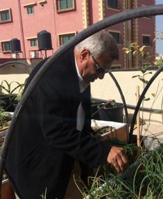 بالصور  ..  مواطن يحوّل سطح منزله لانتاج الفواكه 
