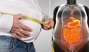 دراسة تكشف خطر الدهون "الحشوية" في التسبب بمرض الزهايمر