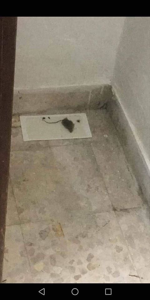 بالفيديو ..  الاعلامية سهى كراجة تكشف عن أوضاع مأساوية تعيشها الطالبات في سكنات الجامعة الاردنية ..  وبعضهن يرتكبن تجاوزات خطيرة