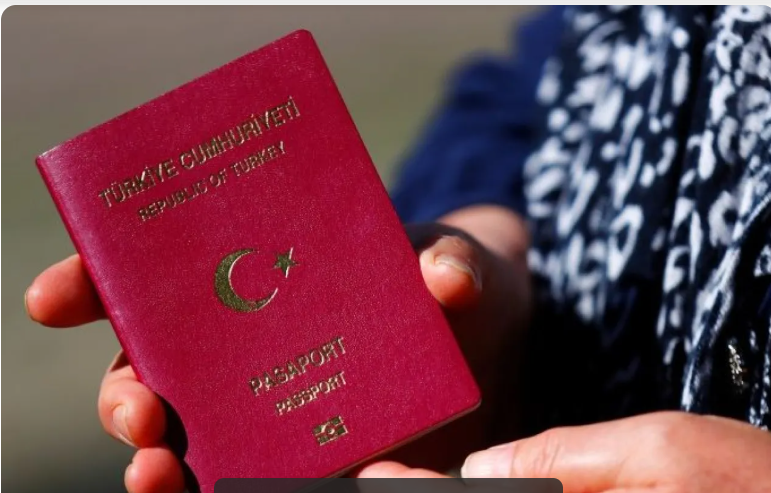 تركيا تلغي جنسية 1070 شخصا بسبب معاملات غير قانونية
