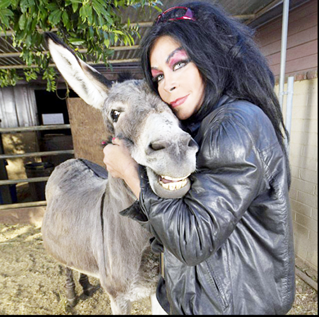 بالصور .. أمريكية تتزوج من "حمار" بعد قصة حب استمرت 3 سنوات