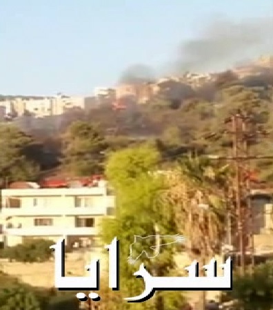 بالفيديو : حريق بأحراش عجلون