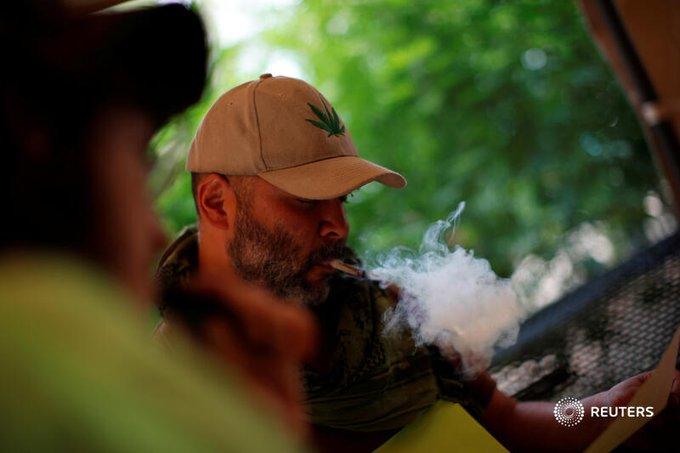 حديقة لتعاطي الماريجوانا في المكسيك