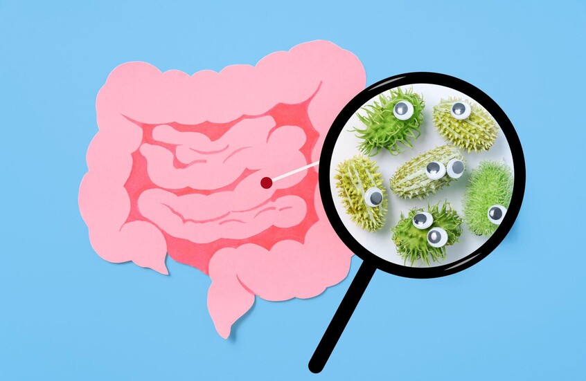 اكتشاف سبب للتراجع السريع في مناعة الأمعاء #سرايا 