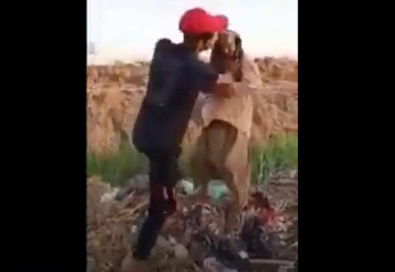 مصر : ضبط المتهم الثاني بإلقاء مسن في (الترعة) -فيديو