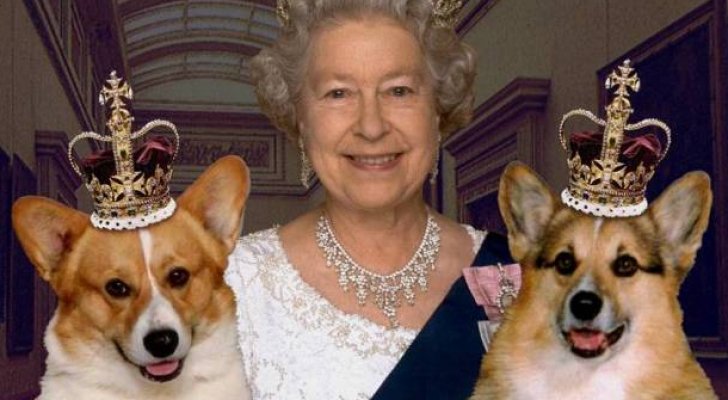 بالصور ..  ملكة بريطانيا تعيش بحالة حزن بعد نفوق كلبها "فولكان" عن عمر 13 عاماً
