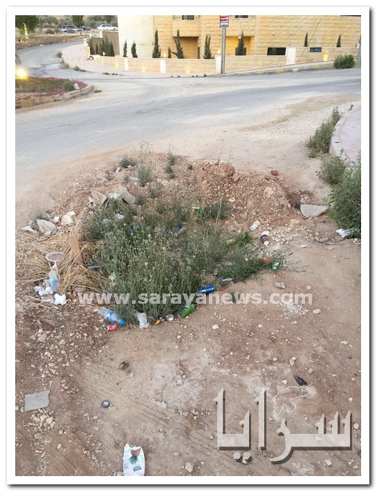 بالصور  ..  شوارع متهالكة ومناهل مفتوحة تهدد المواطنين في الجبيهة