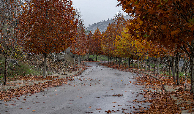 طقس خريفي لطيف  ..  ارتفاع تدريجي على درجات الحرارة حتى نهاية الأسبوع