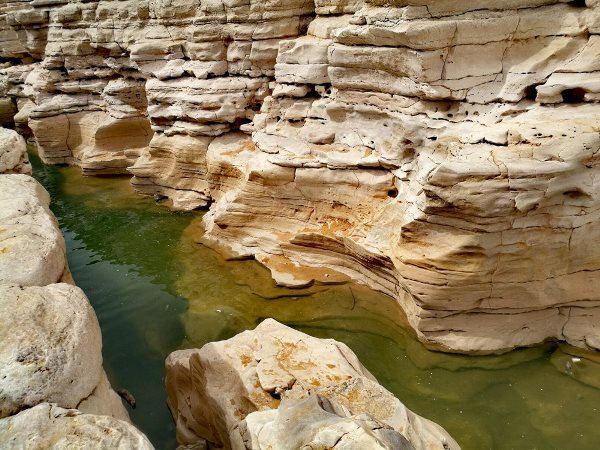استمتع بالسياحة السعودية عبر الواقع الافتراضي 