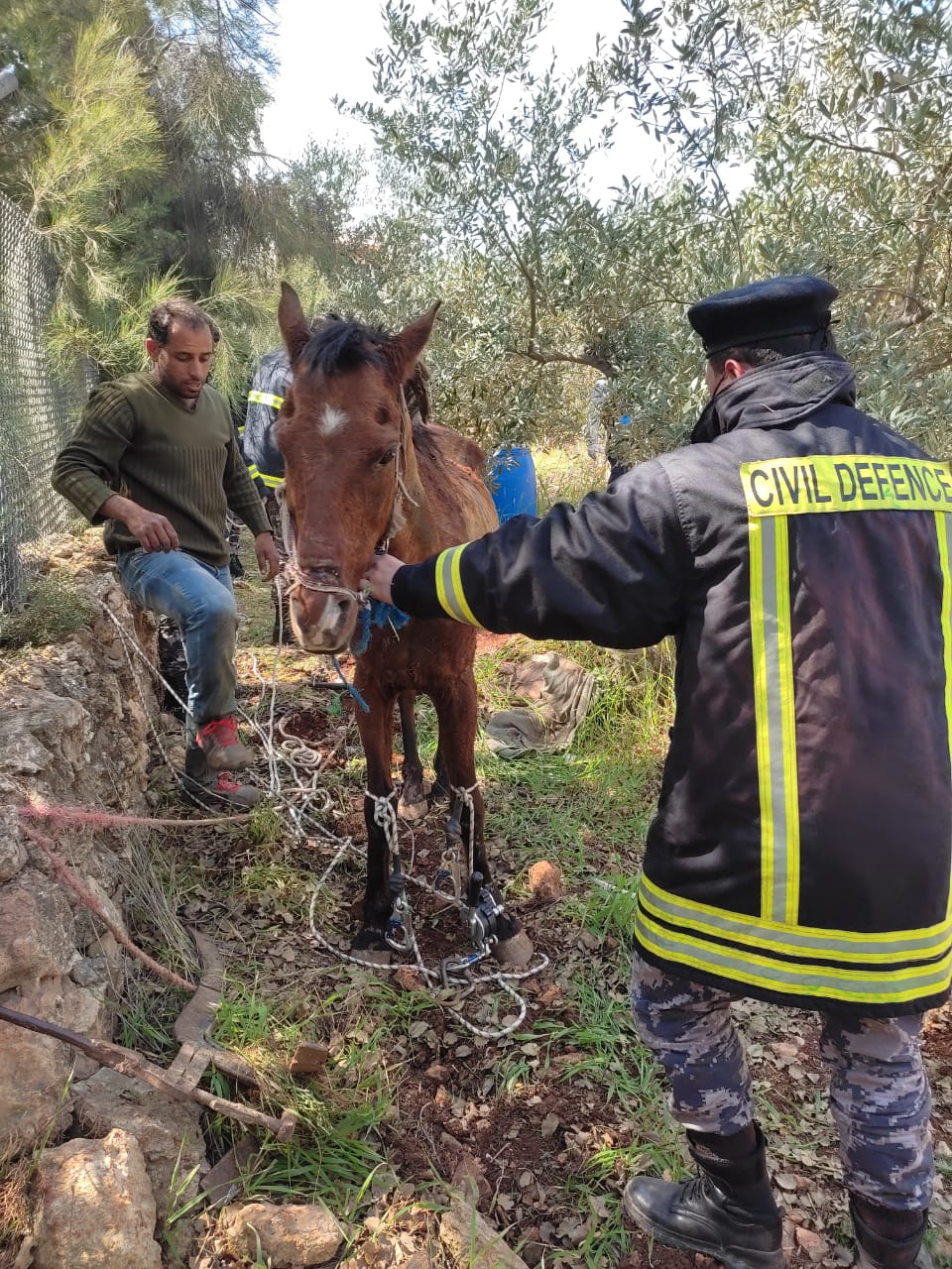الدفاع المدني ينقذ حصان سقط داخل بئر ماء قيد الإنشاء في عمان 