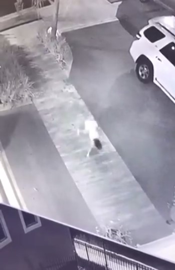 بالفيديو  ..  مخلوق غريب يركض حول أحد المنازل ويثير الرعب 