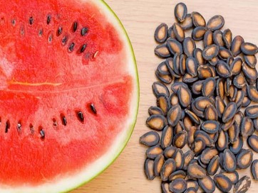 ماذا يحدث لجسمك عند بلع لب البطيخ أثناء الأكل؟ ..  مفاجأة