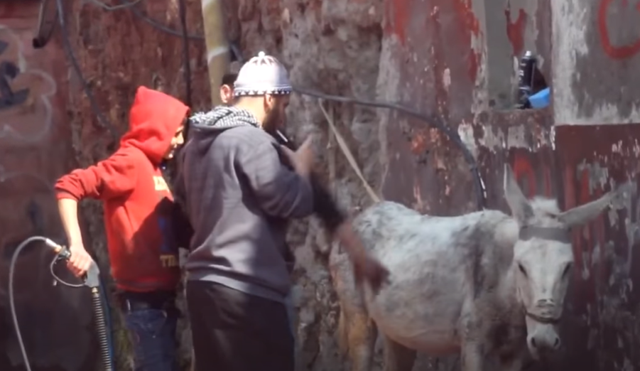 الكاميرا الخفيه: مقلب الحمار