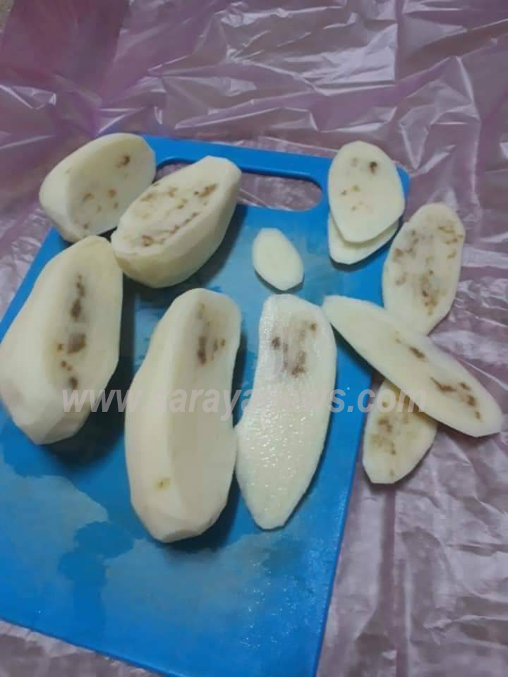 بالصور ..  اربد : بطاطا فاسدة تغزو الأسواق تثير مخاوف المواطنين