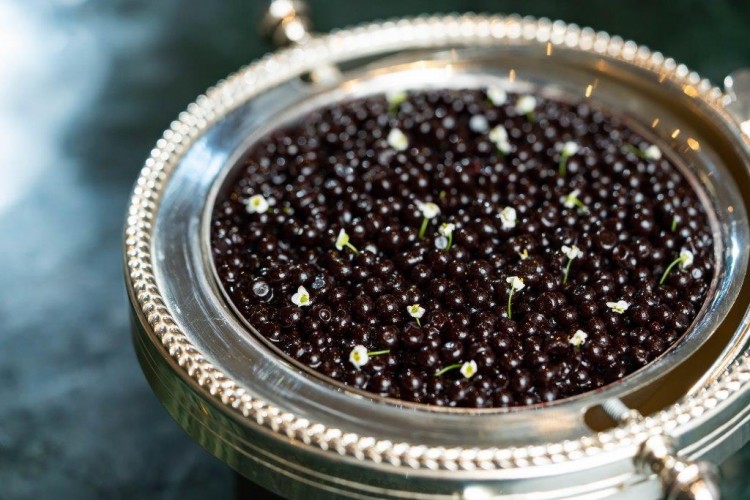 طريقة عمل تشيز كيك التوت الأزرق