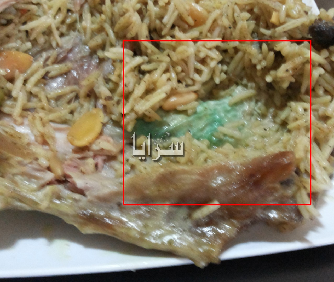 بالصور  ..  لحمة بطعم الحبر  في مطعم " مشهور " بشارع الجاردنز 