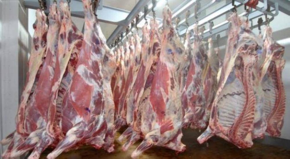 أسعار اللحوم في المملكة ستواصل الانخفاض لثلاثة أشهر مقبلة
