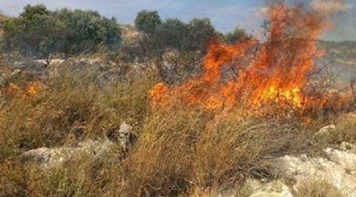 إخماد حريق أعشاب جافة في اربد