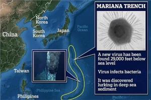 على عمق 29 ألف قدم ..  باحثون في الصين يكتشفون فيروسًا جديدًا كامنًا في قاع المحيط 
