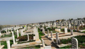 حملة لإنارة المقابر في إربد