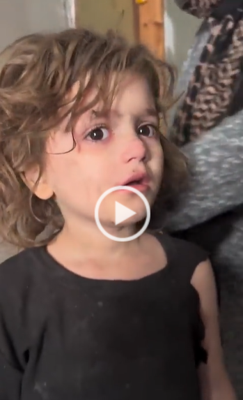 بالفيديو  ..  فلسطينية ارتقى عدد من أفراد عائلتها: "الله يعيني أكون أم وأخت لأخوتي الباقيين"