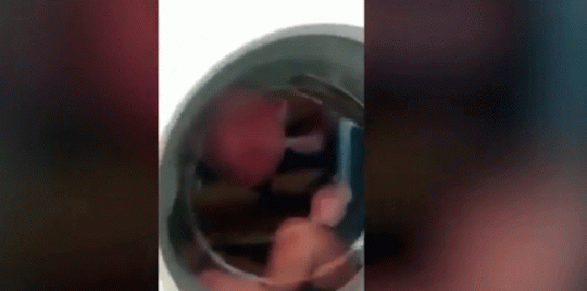 فيديو مروع ..  جليس أطفال يحبس رضيعًا في الغسالة دون رحمة 