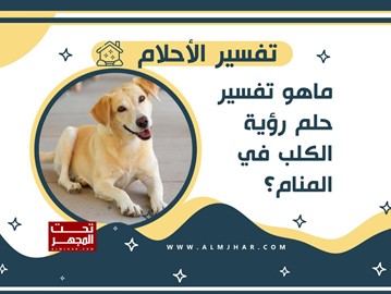 saraya news