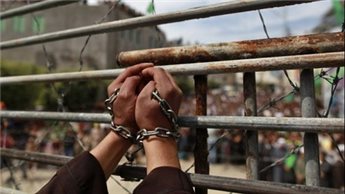 4900 أسير فلسطيني في سجون الاحتلال بينهم 190 طفلاً