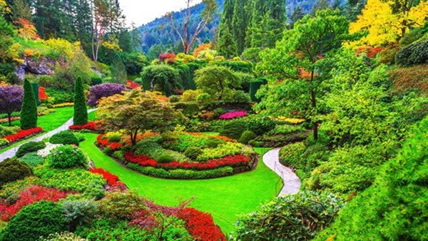 تفسير حلم الحديقة في المنام 