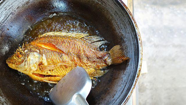اكتشفي أسرار تحضير طبق سمك مثالي كما في المطاعم