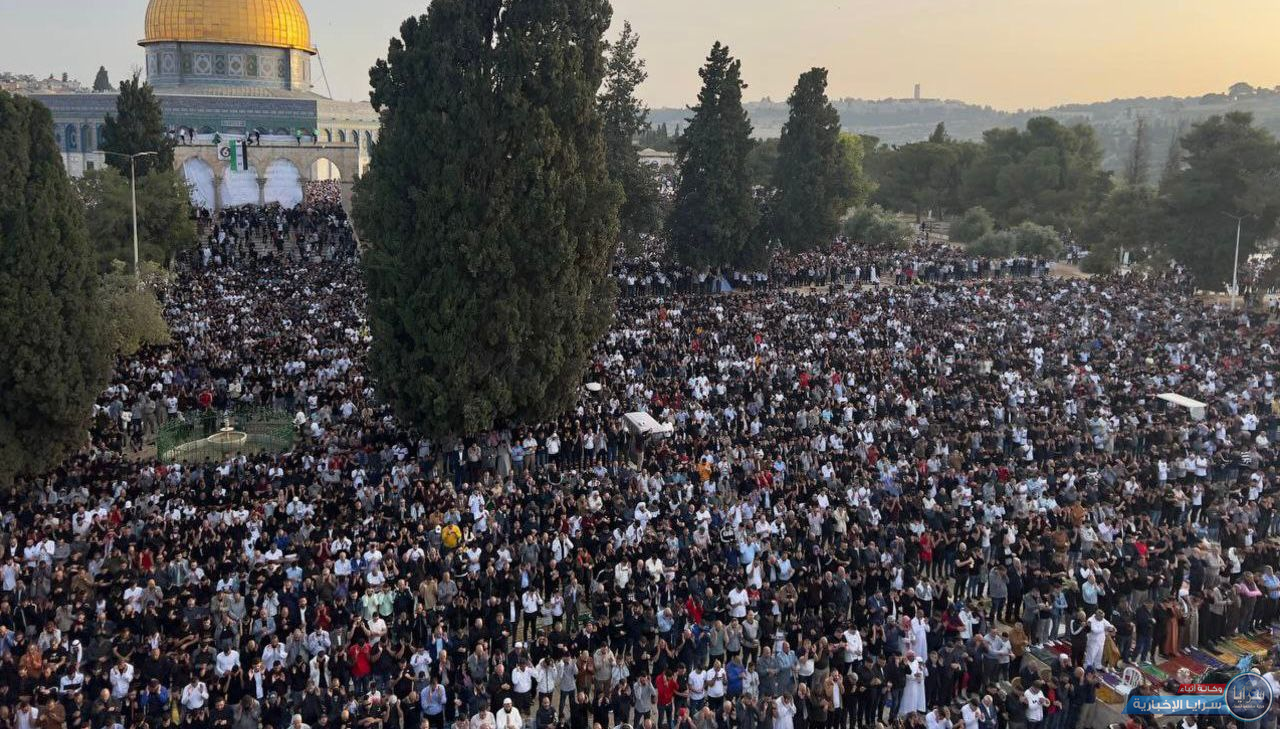 image.php?token=08c15fbc5fb1800ea3b1c356097d7444&size=xxlarge