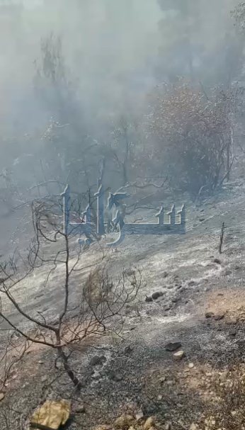 بالفيديو ..  شاهد حجم الضرر الذي لحق في (وادي الشام) بعد السيطرة الأولية على الحريق