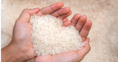 عالميًا  ..  أسعار الأرز تبلغ أعلى مستوياتها منذ 13 عامًا