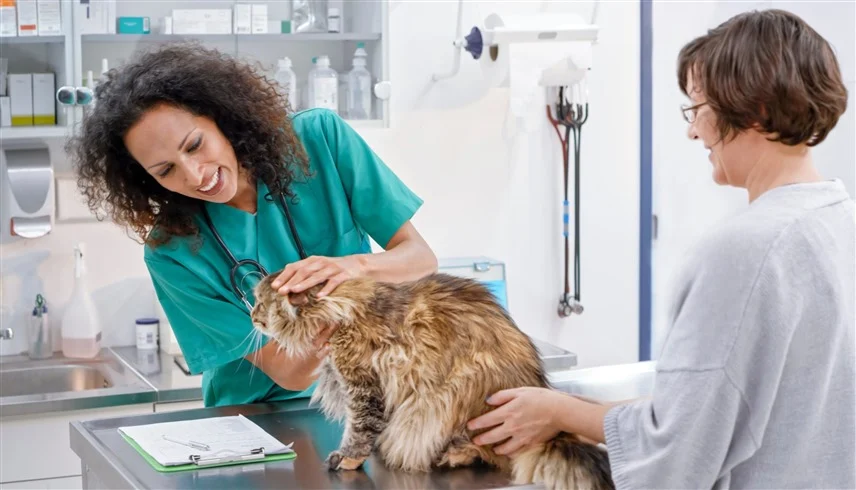 جرو بـ50 ألف دولار ..  أرقام صادمة تعيد رسم خارطة الإنفاق في اقتصاد الحيوانات الأليفة