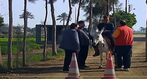 الكاميرا الخفيه: كمين مرور للحمير