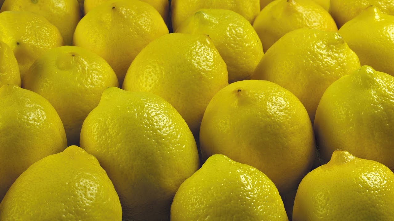 أسعار الليمون محلياً تقفز إلى الضعف في أسبوع  ..  170 قرشا للكيلو الواحد