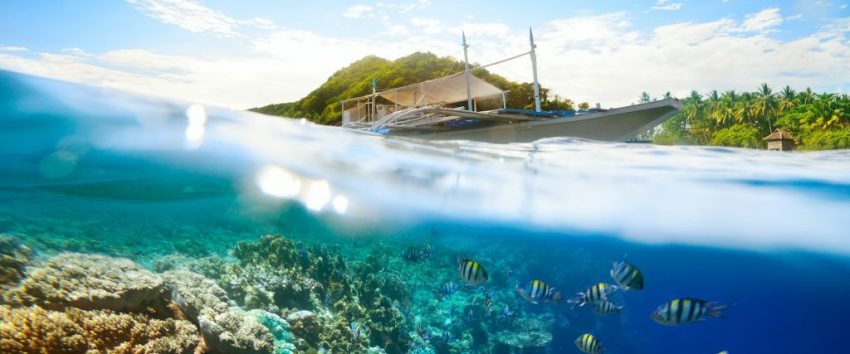 بالصور  ..  أفضل وجهات الغوص في الفلبين