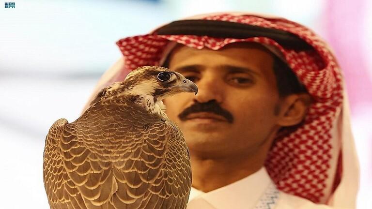 السعودية: بيع صقر بـ 54 ألف دولار!