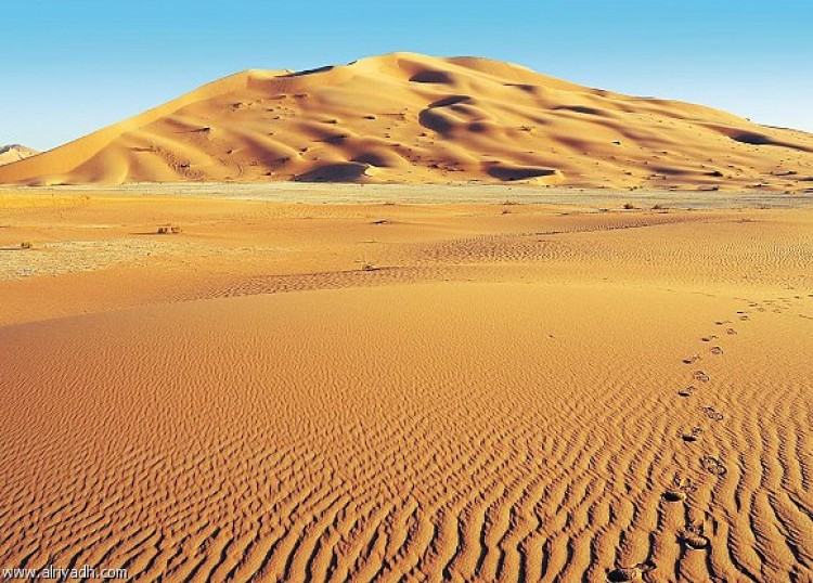 اختفاء فتاة الـ 15 عامًا الباكستانية في ظروف غامضة جنوبي الطائف