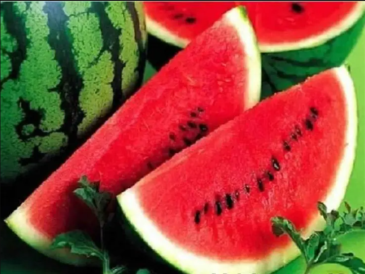 تفسير حلم البطيخ في المنام 