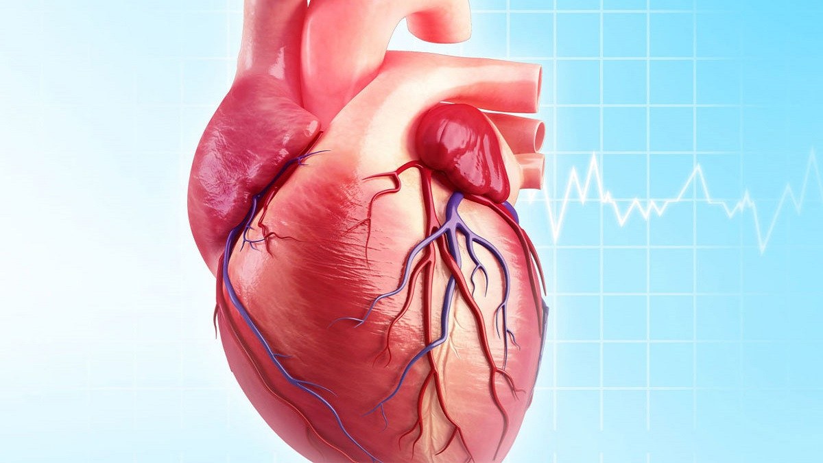 تسارع أو تباطؤ نبضات القلب المفاجئ ..  الأسباب ونصائح للتعامل