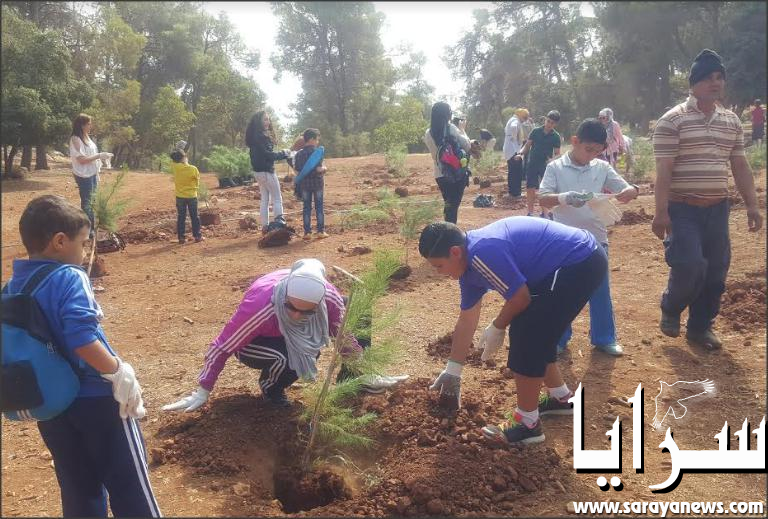 موظفو INVESTBANK يزرعون 100 شجرة في محمية غابات دبين