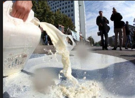 اتلاف كميات كبيرة من الحليب ومشتقاته في الكورة