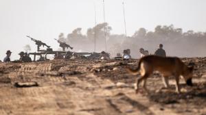 كلاب المستوطنين تهاجم جنودا "إسرائيليين" في الخليل